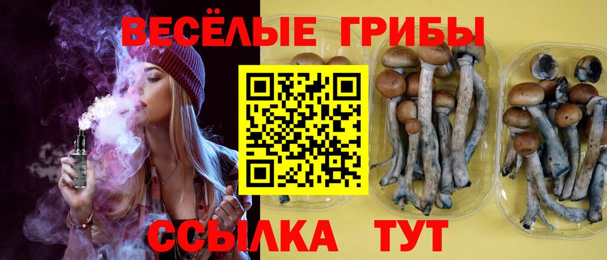 Псилоцибиновые грибы мухоморы Сыктывкар