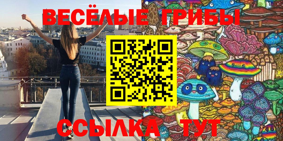 Псилоцибиновые грибы GOLDEN TEACHER  Галлюциногенные грибы GOLDEN TEACHER  Вход с VPN  Сыктывкар 